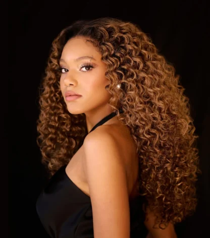 Premium Synthetic Lace Frontal Wig - RAYNA