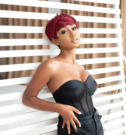 Premium Synthetic Pixie Wig - Bree